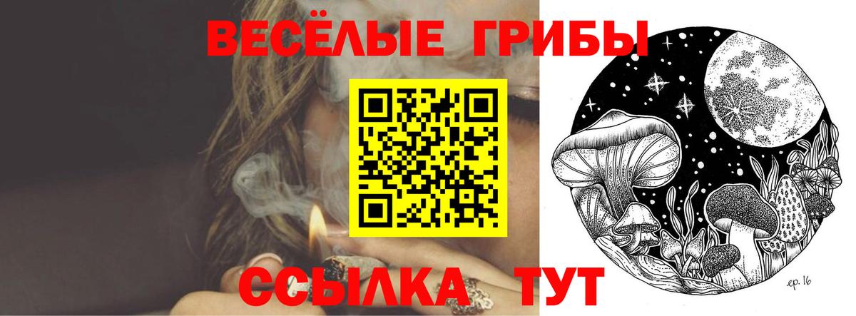 Галлюциногенные грибы MAGIC MUSHROOMS Усолье-Сибирское